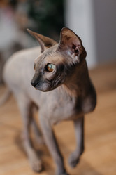 Similar image 22080415