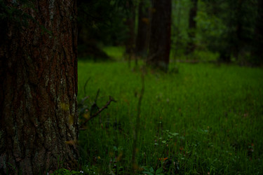 Similar image 22076992