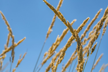 Similar image 22089010