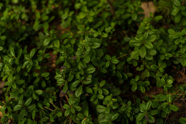 Similar image 22088441