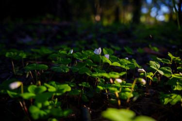 Similar image 22088820