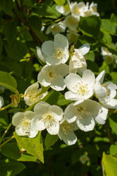 Similar image 22090115