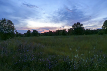 Similar image 22088452