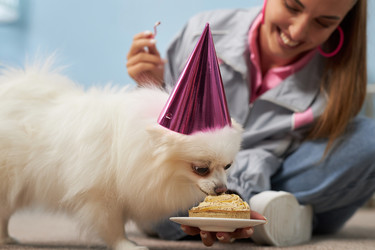 Similar image 22065347