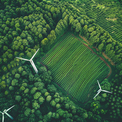 Similar image 22088455