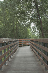 Similar image 22089049