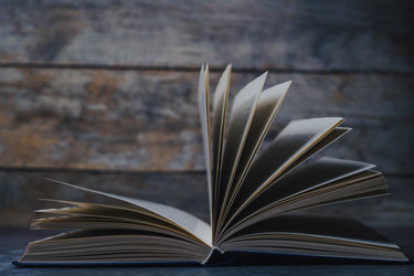 Similar image 22089058