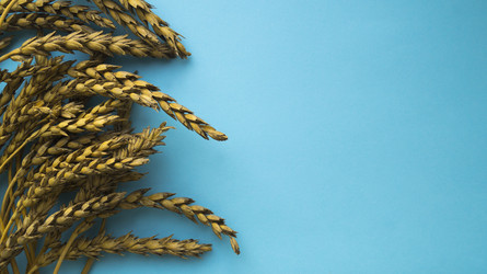 Similar image 22061690