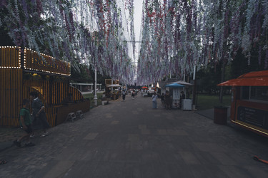 Similar image 22088205