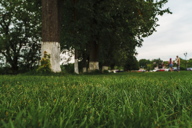 Similar image 22088343