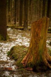 Similar image 22088344