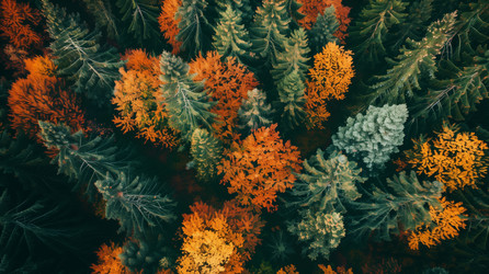 Similar image 22088458