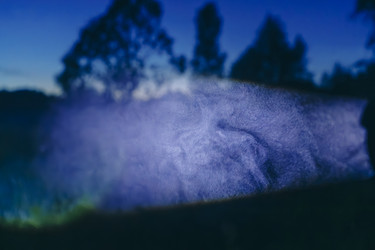 Similar image 22088459