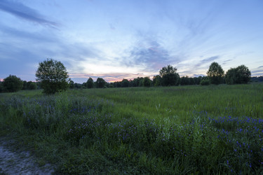 Similar image 22089070