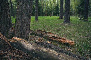 Similar image 22089073