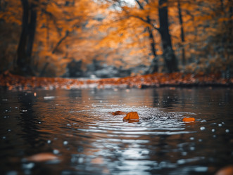 Similar image 22072716