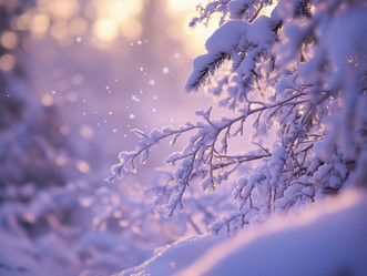 Similar image 22088353