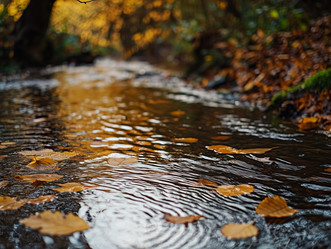 Similar image 22088872