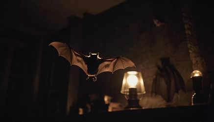 Similar image 22074914