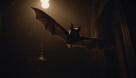 Similar image 22075391