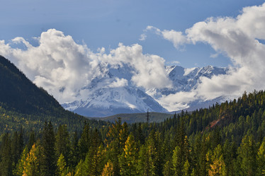 Similar image 22080419