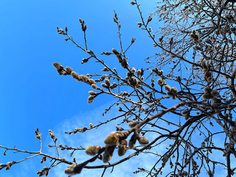 Similar image 22080428