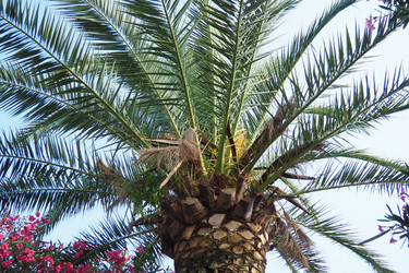 Similar image 22074926