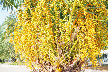 Similar image 22075168