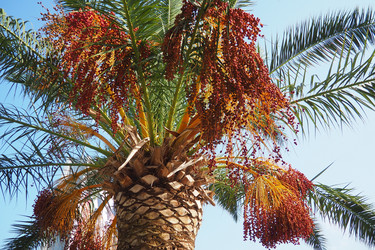 Similar image 22075395