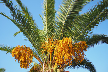 Similar image 22075492