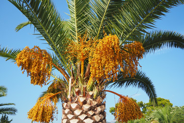 Similar image 22078106