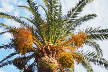 Similar image 22078107