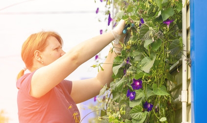 Similar image 22079837