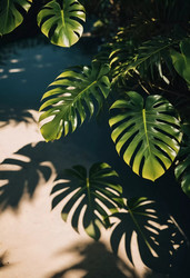 Similar image 22073104