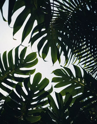 Similar image 22074686