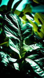 Similar image 22074927