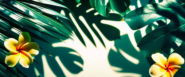 Similar image 22074930