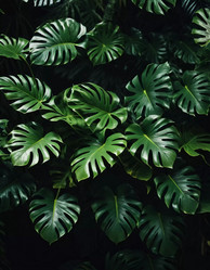 Similar image 22075398