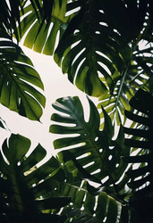 Similar image 22075399