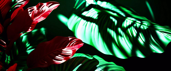 Similar image 22075493