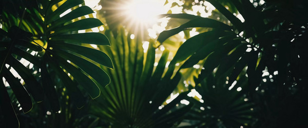 Similar image 22078111