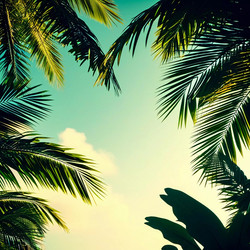 Similar image 22073105