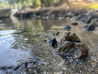 Similar image 22080429