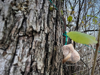 Similar image 22080431