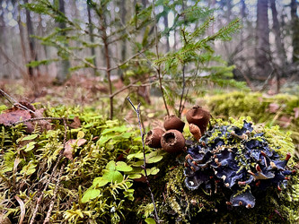 Similar image 22080433