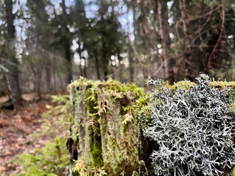 Similar image 22080434