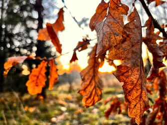 Similar image 22080436