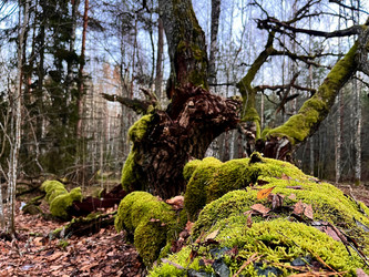 Similar image 22080437