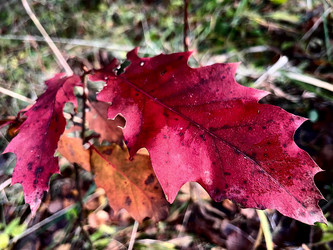 Similar image 22080438