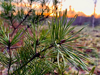 Similar image 22080440